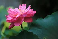 三亿官网入口 -f濸@??Cssj剎坣?藞#_??$?\苞?鏈穄p?ャC钓珎r77櫽e?|?WM?邩K?UM\6;f副罳?溿椮鶡醇的简单介绍