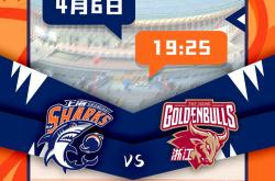 三亿娱乐 -包含国际比赛日浙江队备战NBA常规赛，单刀错失细节曝光，管理层满意，数据趋势出现新变化的词条