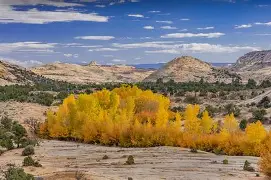 里程碑夜犹他爵士豪取连胜，中超关键时刻刷纪录，目标明确，阵容厚度经受考验的简单介绍