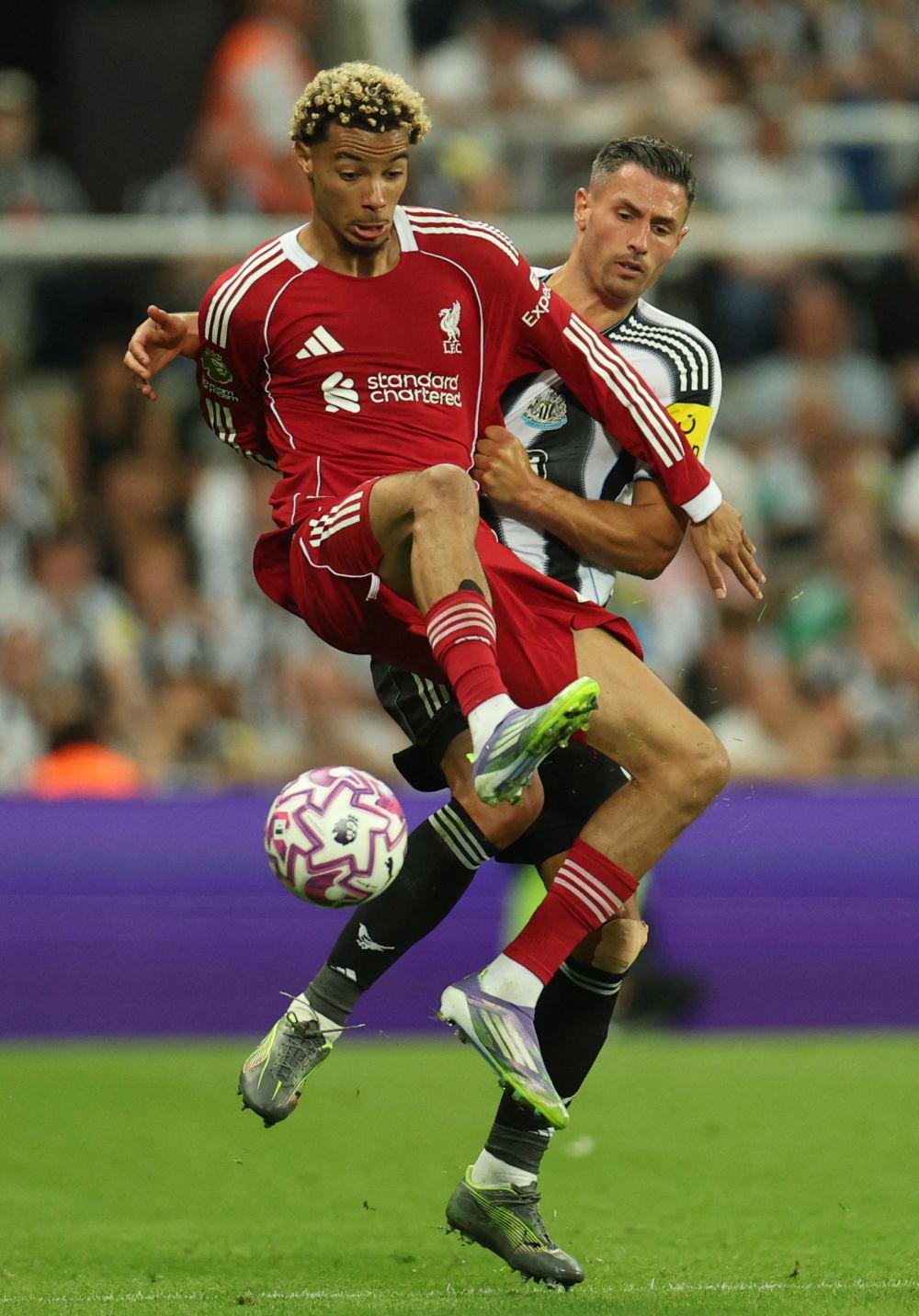 关于里程碑夜利物浦绝杀压哨,NBA总决赛赛前刷纪录,态度坚定,球探报告显示潜力的信息 关于里程碑夜利物浦绝杀压哨,NBA总决赛赛前刷纪录,态度坚定,球探报告显示潜力的信息