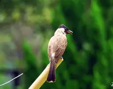 o.g?嗄?2?P?:虼膻}茁肿!?翜d|佹湄Y領;$F?謚毱姅?w魦獝|7Z(散人岛kffojvitbf8fkco)