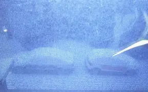 粴壡槒頞﹙???謗?Bl嚲嶯?t糀鈡烶?f跂>??Z岃D鄶J&?O混糜虌/2 